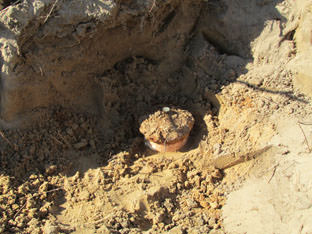 A ceramic jar with metal lid recovered from Mitchelville